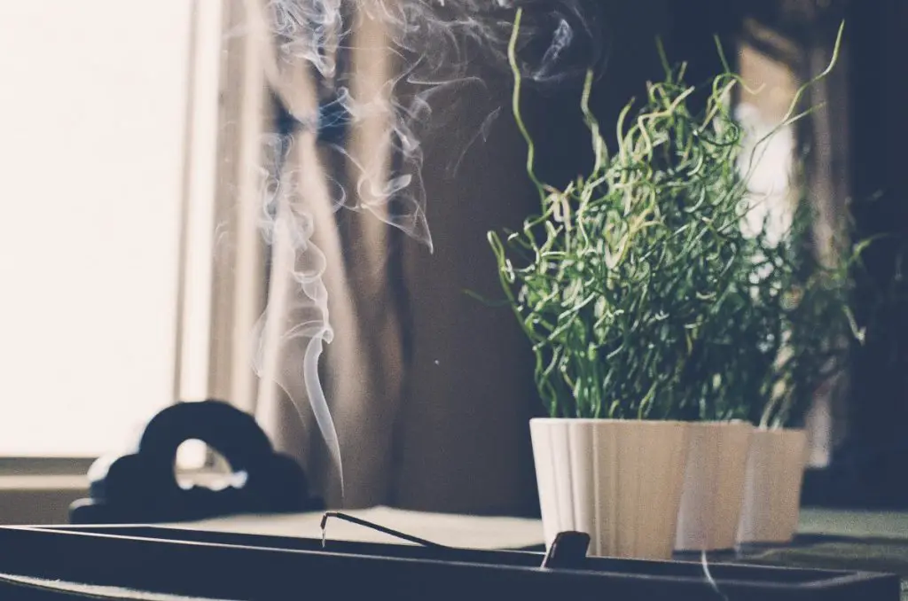 best incense brands